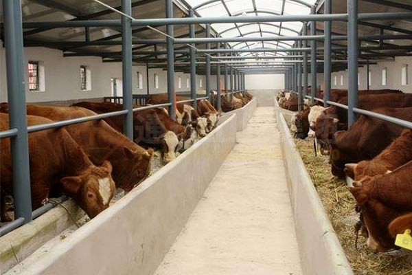 養(yǎng)牛的牛糞怎么處理?小型牛糞有機(jī)肥生產(chǎn)線(xiàn)多少錢(qián)?