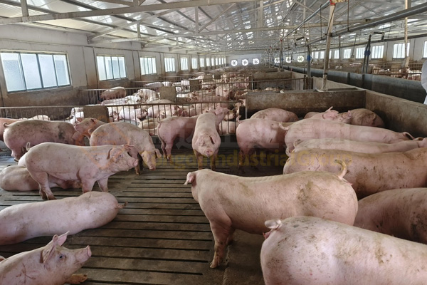 投資小型有機肥生產線享受政策扶持