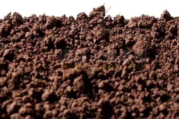 蚯蚓養殖與秸稈牛糞廢棄物綜合利用，制成高效蚯蚓糞有機肥，助力鄉村振興建設